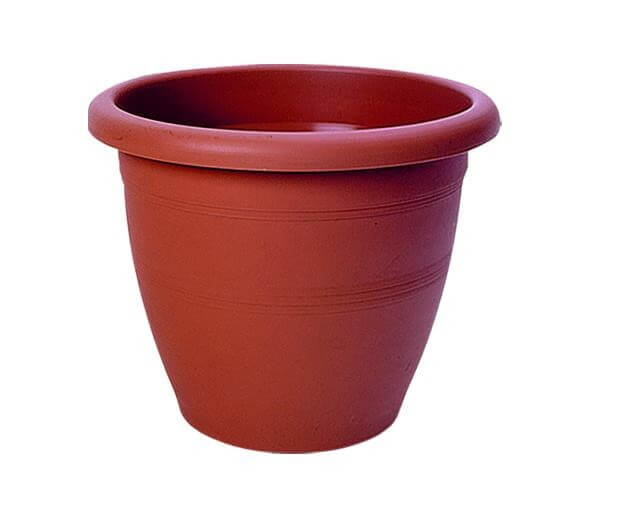 ΚΥΚΛΩΨ ΓΛΑΣΤΡΑ Νο 331 - (ΤΕΡΑΚΟΤΑ)