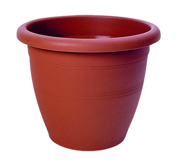 ΚΥΚΛΩΨ ΓΛΑΣΤΡΑ Νo 336 - (ΤΕΡΑΚΟΤΑ)