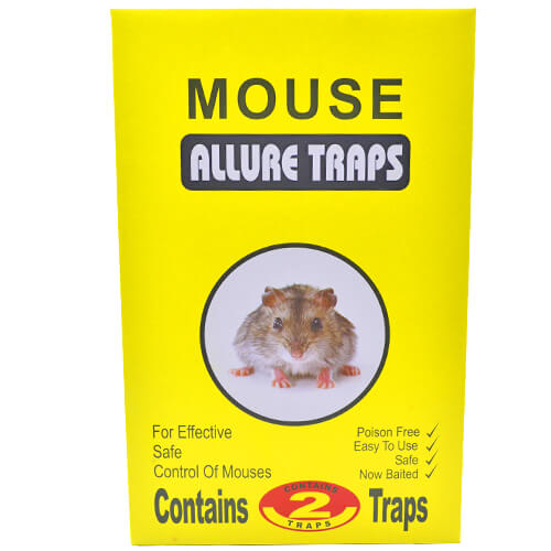 ALLURE TRAPS ΠΟΝΤΙΚΟΠΑΓΙΔΑ ΚΟΛΛΑ (2τεμ.)