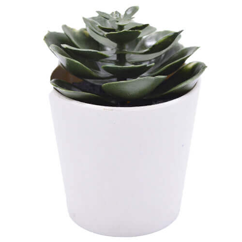 TNS ΓΛΑΣΤΡΑΚΙ ΠΛΑΣΤΙΚΟ ΜΕ ΛΟΥΛΟΥΔΙΑ (ΜΙΝΙΑΤΟΥΡΑ) (EVA5675) - (32-800-1509)