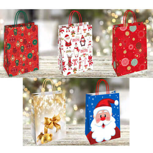 ΧΡΙΣΤΟΥΓΕΝΝΙΑΤΙΚΕΣ ΣΑΚΟΥΛΕΣ ΔΩΡΟΥ 25τμχ (26x35x12cm)