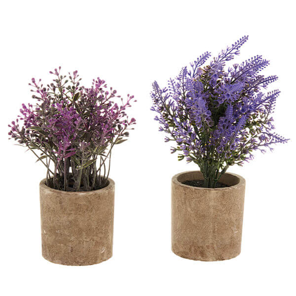 TNS ΓΛΑΣΤΡΑΚΙ ΜΕ ΠΛΑΣΤΙΚΟ ΛΟΥΛΟΥΔΙ - (05-950-3061)