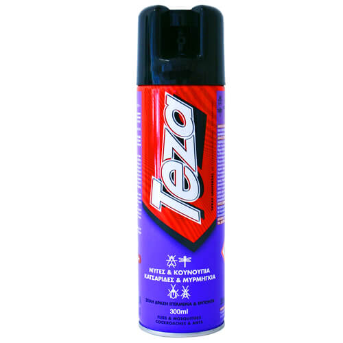 TEZA SPRAY 2 ΣΕ 1 300ml - (UNIVERSAL)
