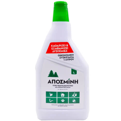 ΑΠΟΣΜΙΝΗ ΓΝΗΣΙΑ ΚΑΘΑΡΙΣΤΙΚΟ ΧΩΡΟΥ 1000ml
